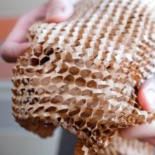 Honeycomb Paper: a sustainable alternative to bubble wrap in packaging