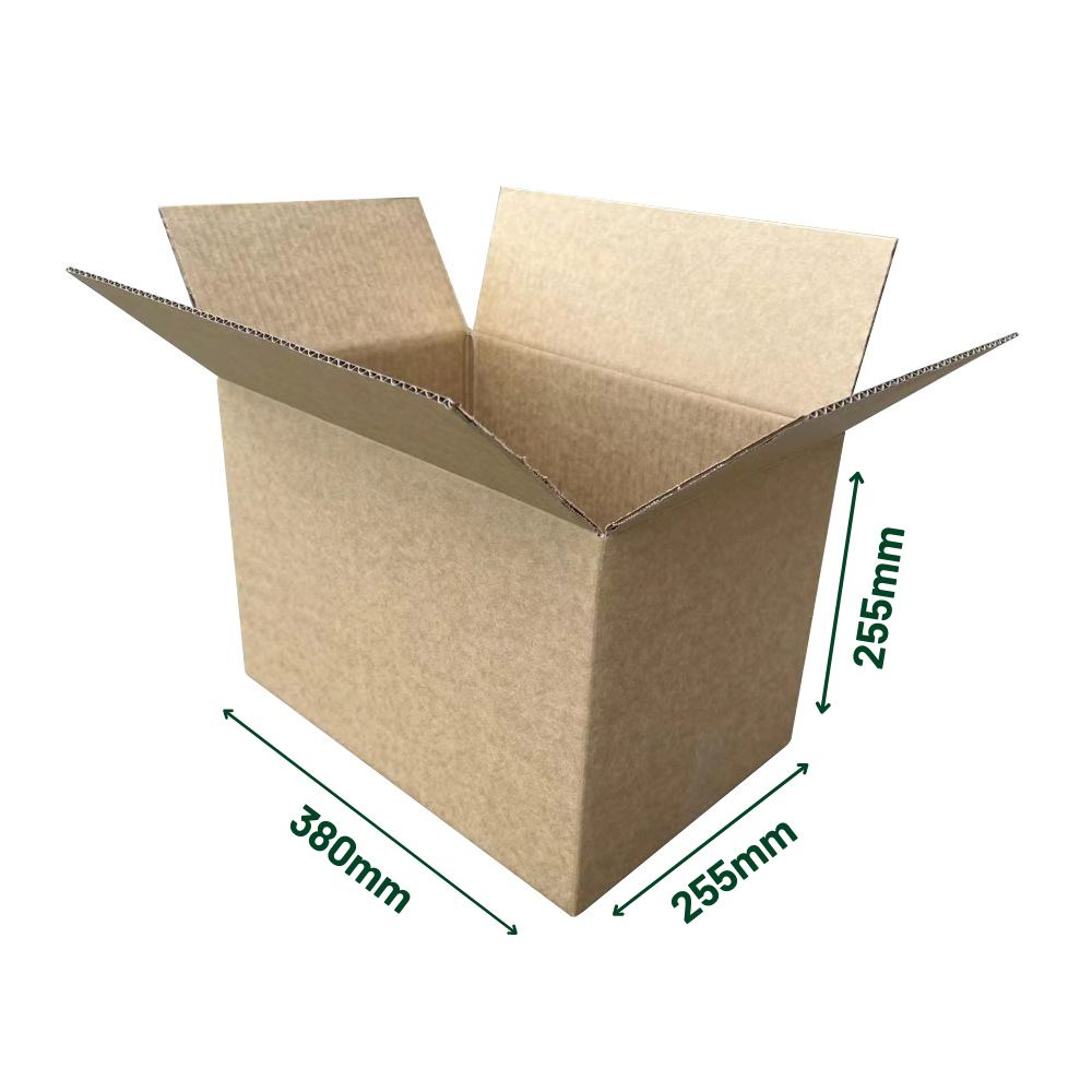 Shipping Carton 380 x 255 x 255mm
